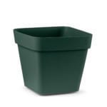VASO CUADRADO 24 VERDE BOSC CLEO