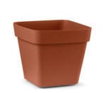 VASO CUADRADO 34 MARRON CLEO