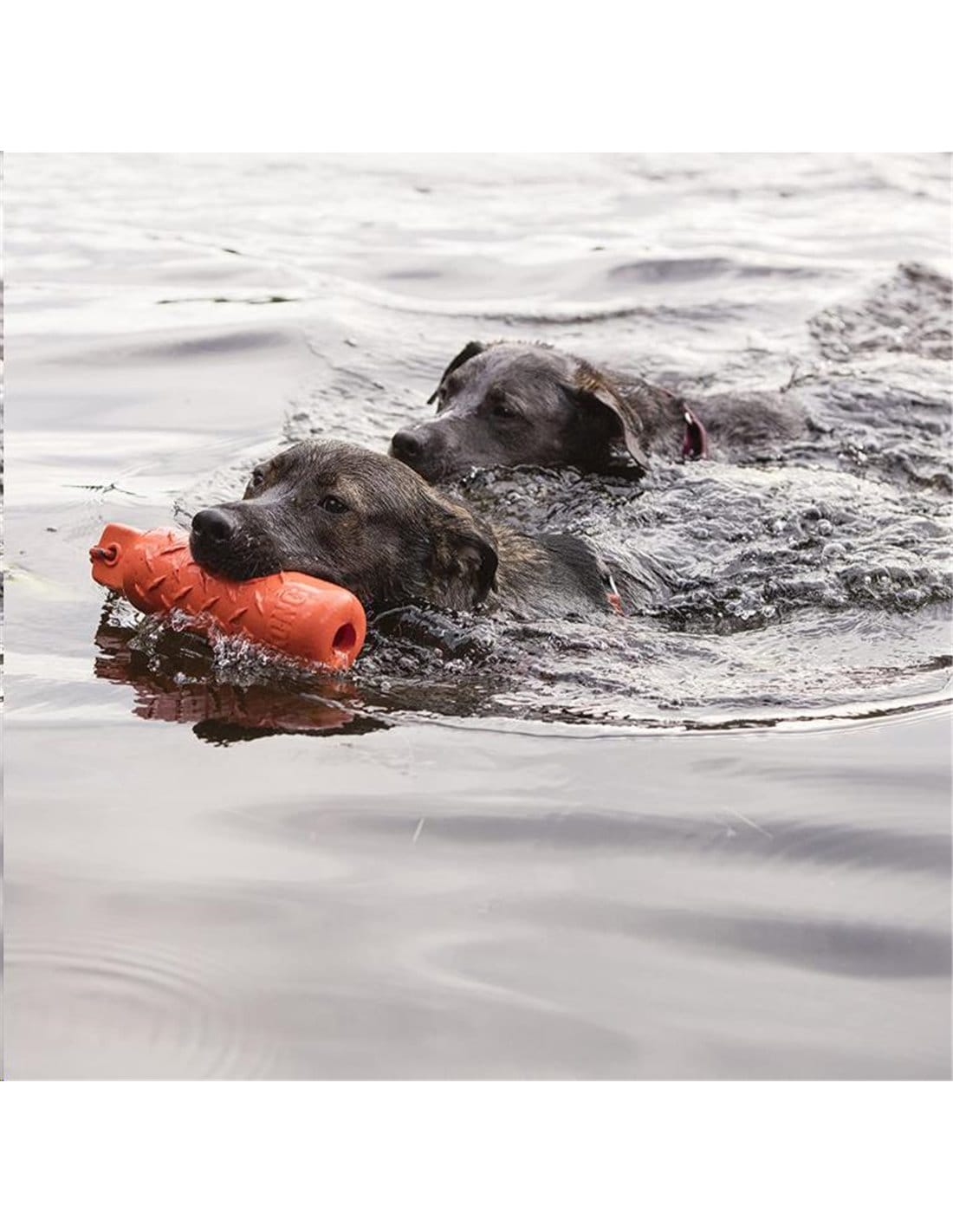 kong juguete perro training dummy t l para el agua 1