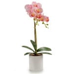 ORQUIDEA M. REDONDA ROSA 51 CM