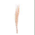 RAMILLETE RAMA NATURAL 15X9X80