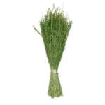 RAMILLETE CENTENO VERDE 15X7X45