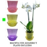 MACETA VIDRIO C/ PLATO AMARILLO