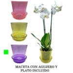 MACETA VIDRIO C/ PLATO VIOLETA