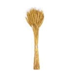 RAMILLETE ESPIGA AMARILL 14X9X50