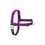 PETRAL ANTITIRONES MORADO T-L