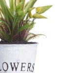 PLANTA FLOR ABIERTA BLANCA - Imagen 3