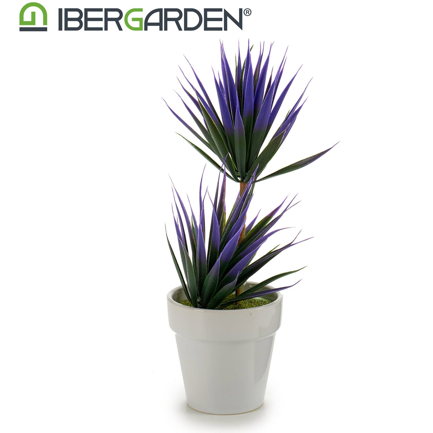 22210_1 MACETA PINCHOS MORADO 10X10X30 - Imagen 1