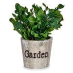 MACETA GARDEN PLANTA ANCHA 12X12