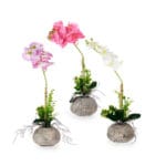 ORQUIDEA LILA MACETA BAJA - Imagen 2