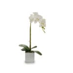 ORQUIDEA BL. MACETA CUAD. 43 CM