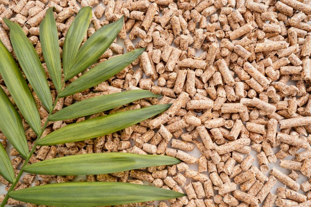 top view plant leaves pellets with copy space