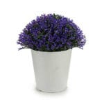 MACETA BL. FLOR MORADA 14X14X16