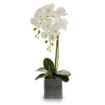 ORQUIDEA BL. CUADRADA GRIS 51 CM