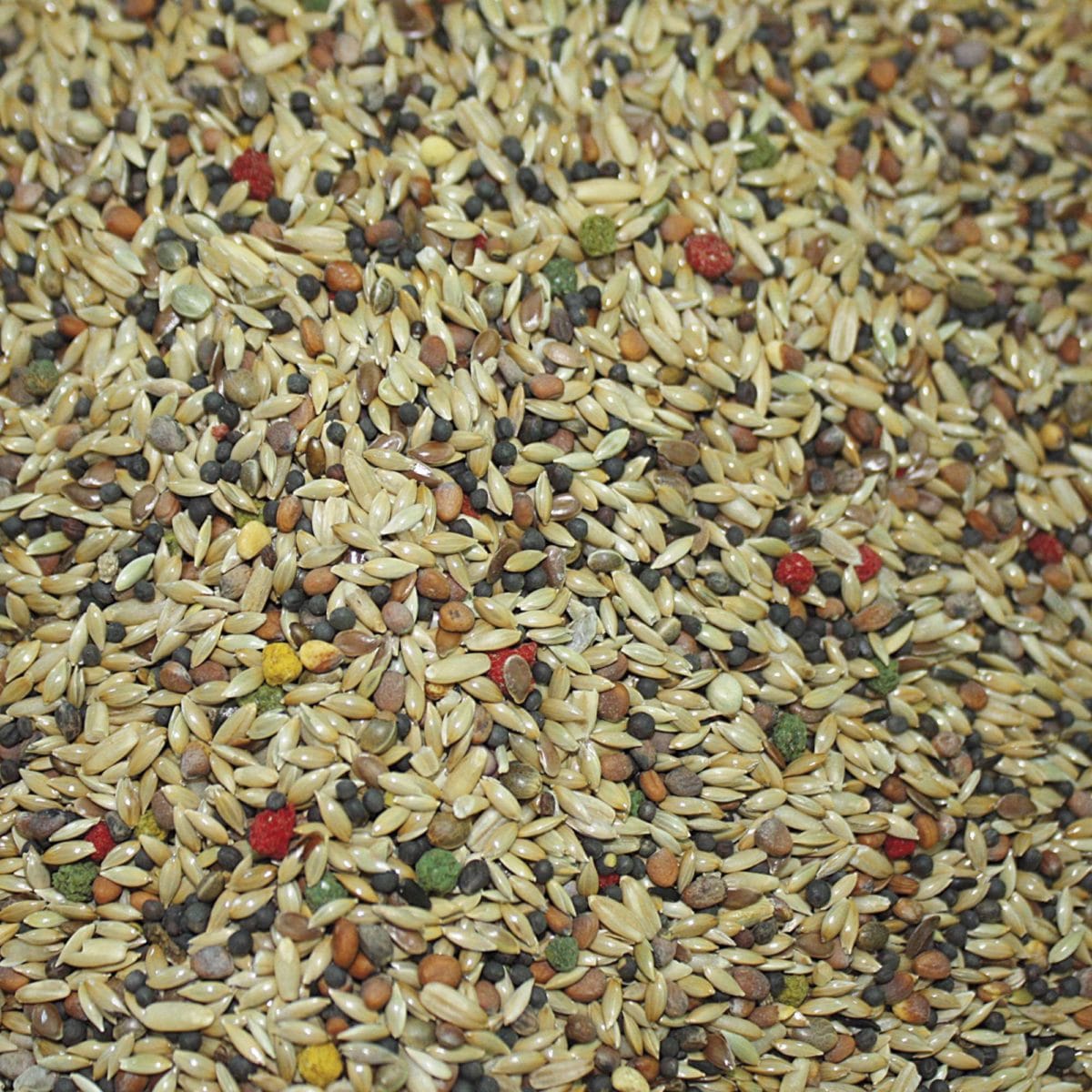 MIXTURA CANARIOS VIT PRO 5 KG - Imagen 2