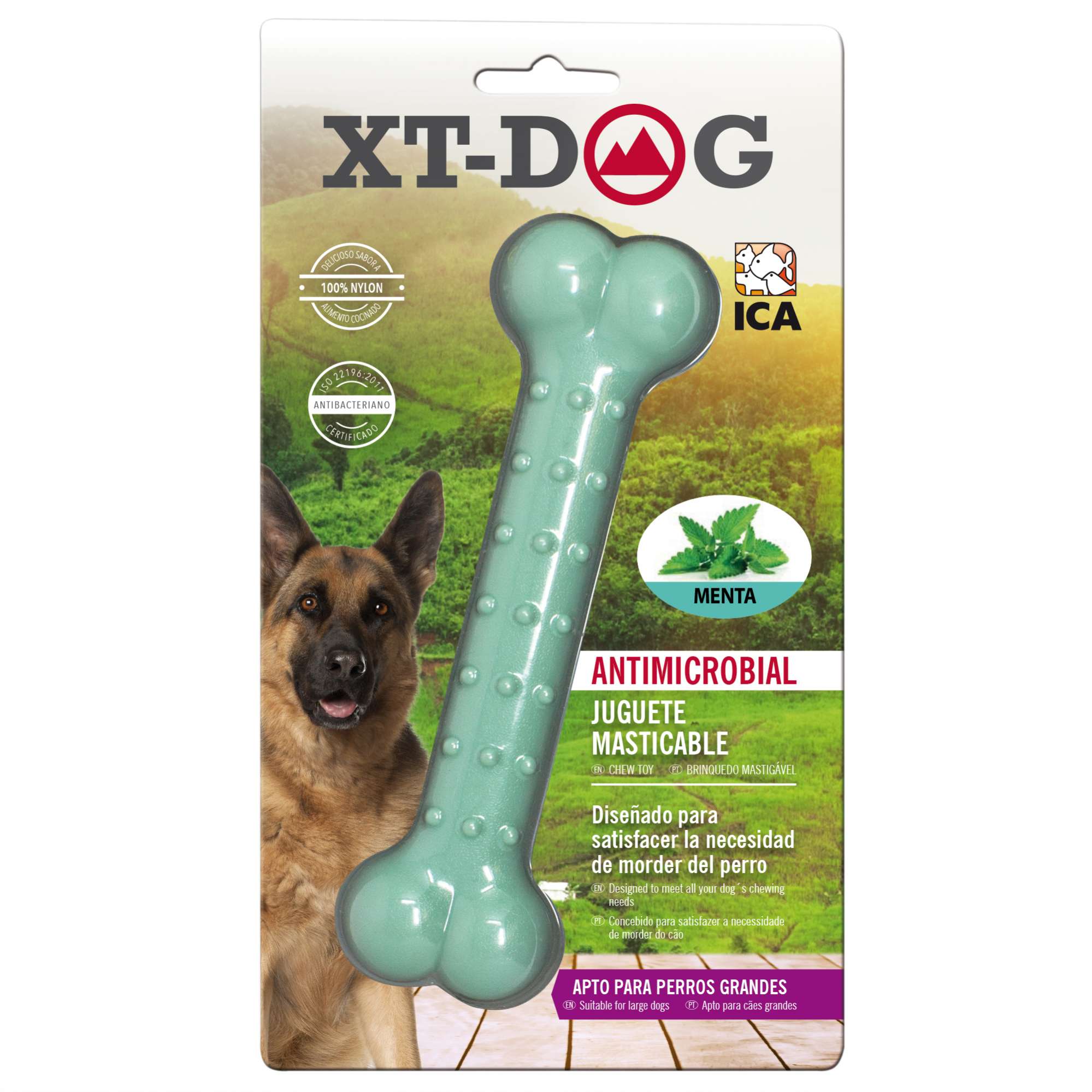 JW157-huesito-dental-bone-nylon-menta-de-xt-dog_general_7950 DENTALBONE NYLON MENTA G. - Imagen 1