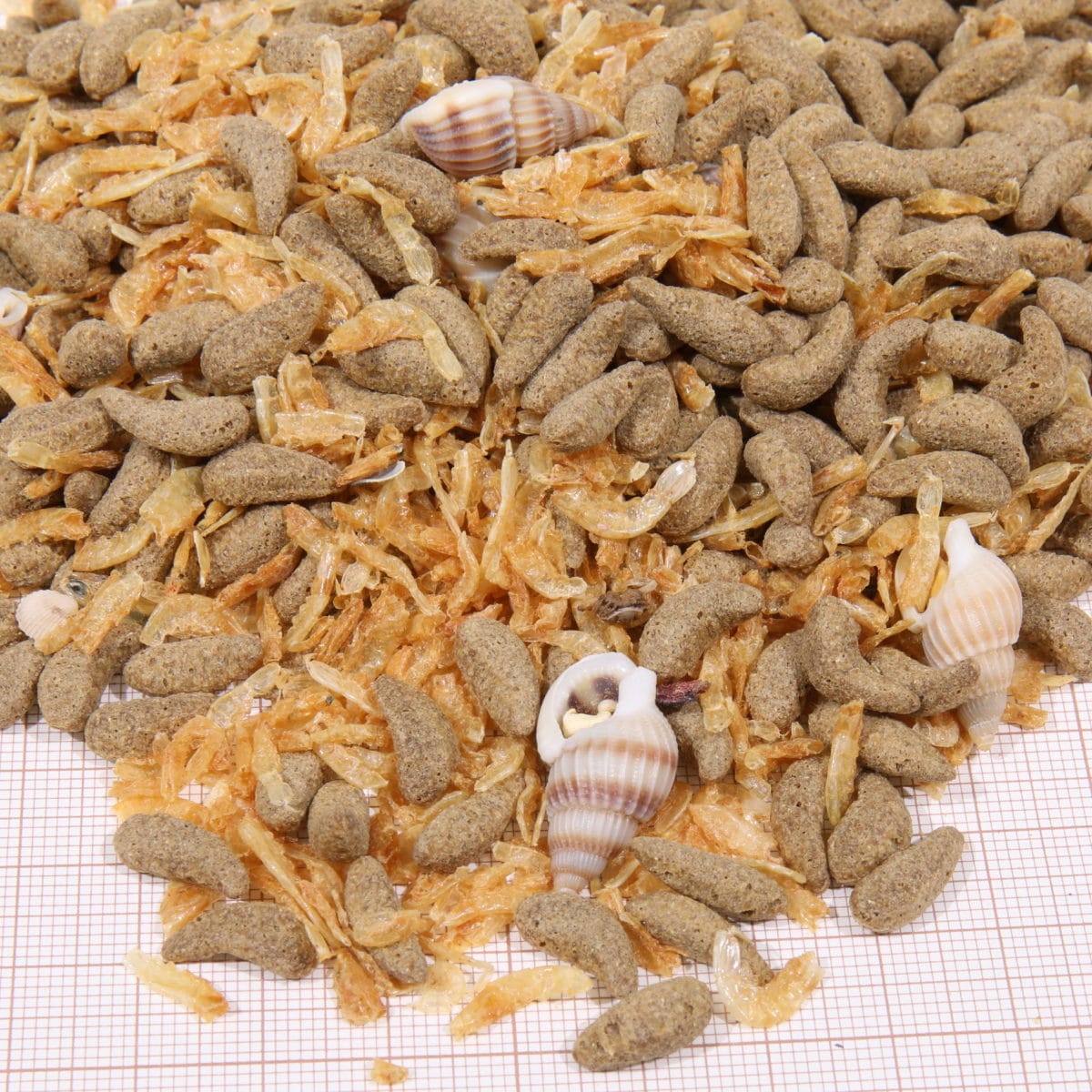 PROTERRA MOLLUSCUS 1000 ML - Imagen 3