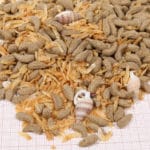 PROTERRA MOLLUSCUS 1000 ML - Imagen 3