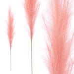 RAMA DECORATIVA ROSA 110