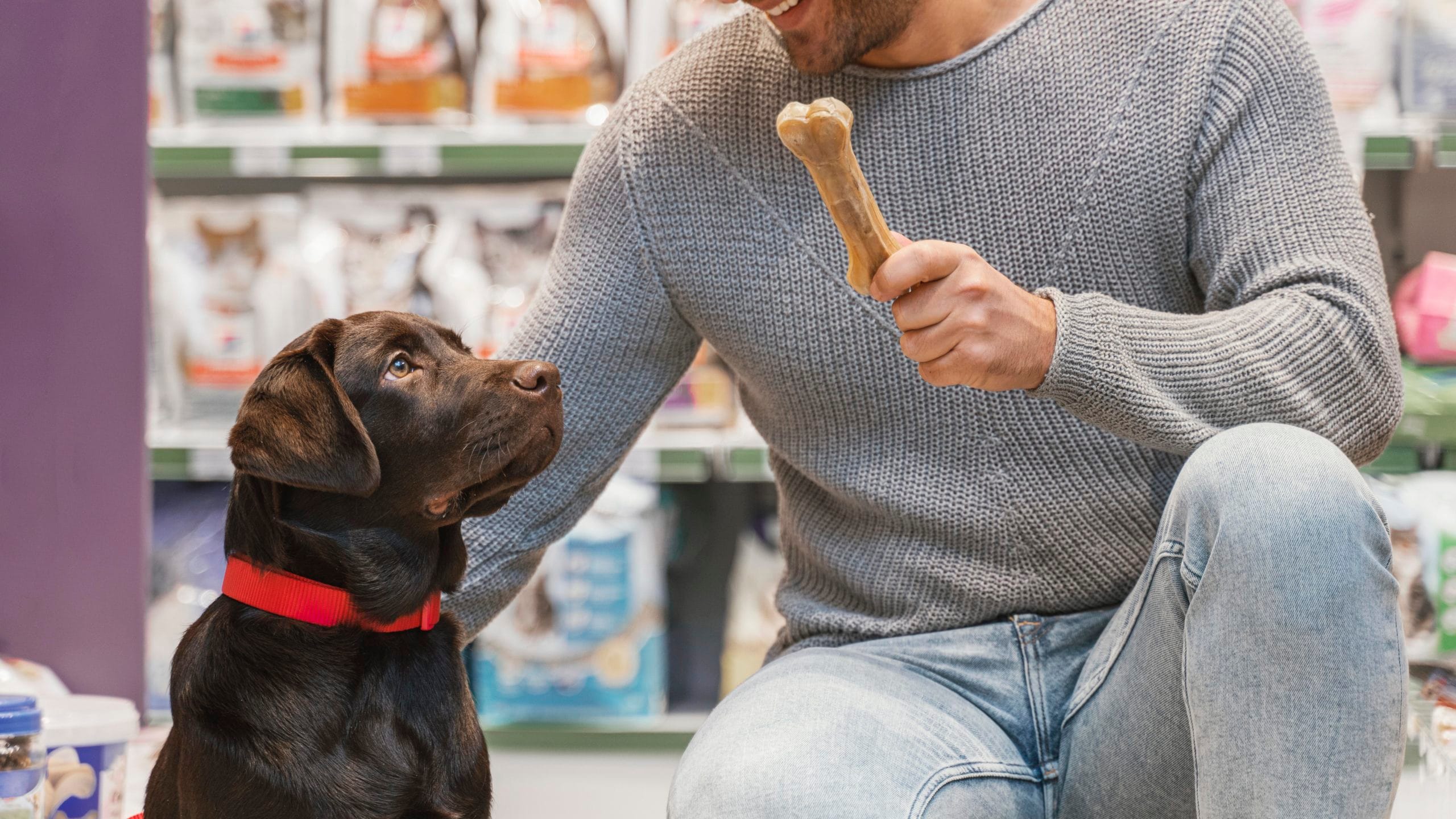 adorable dog with owner pet shop scaled