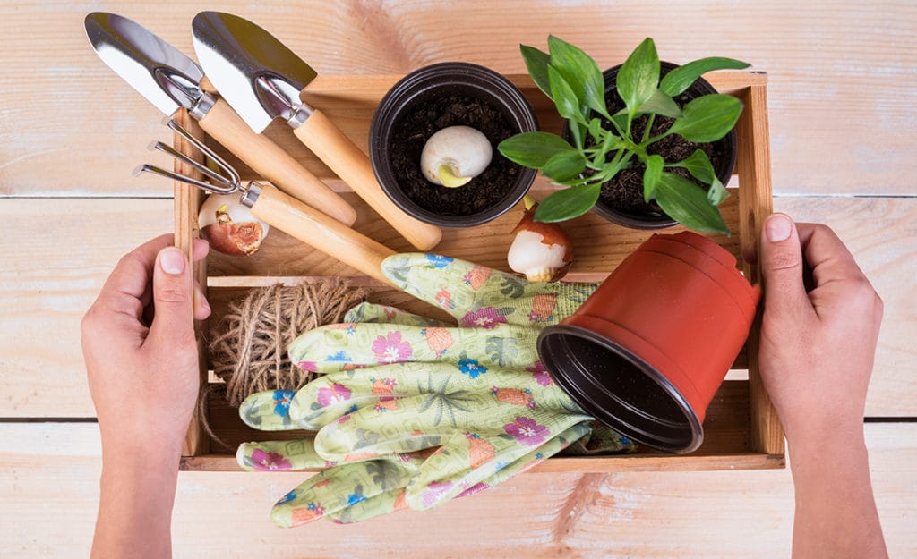 10 Herramientas de Jardinería Básica para el Cuidado de tus Plantas en Casa