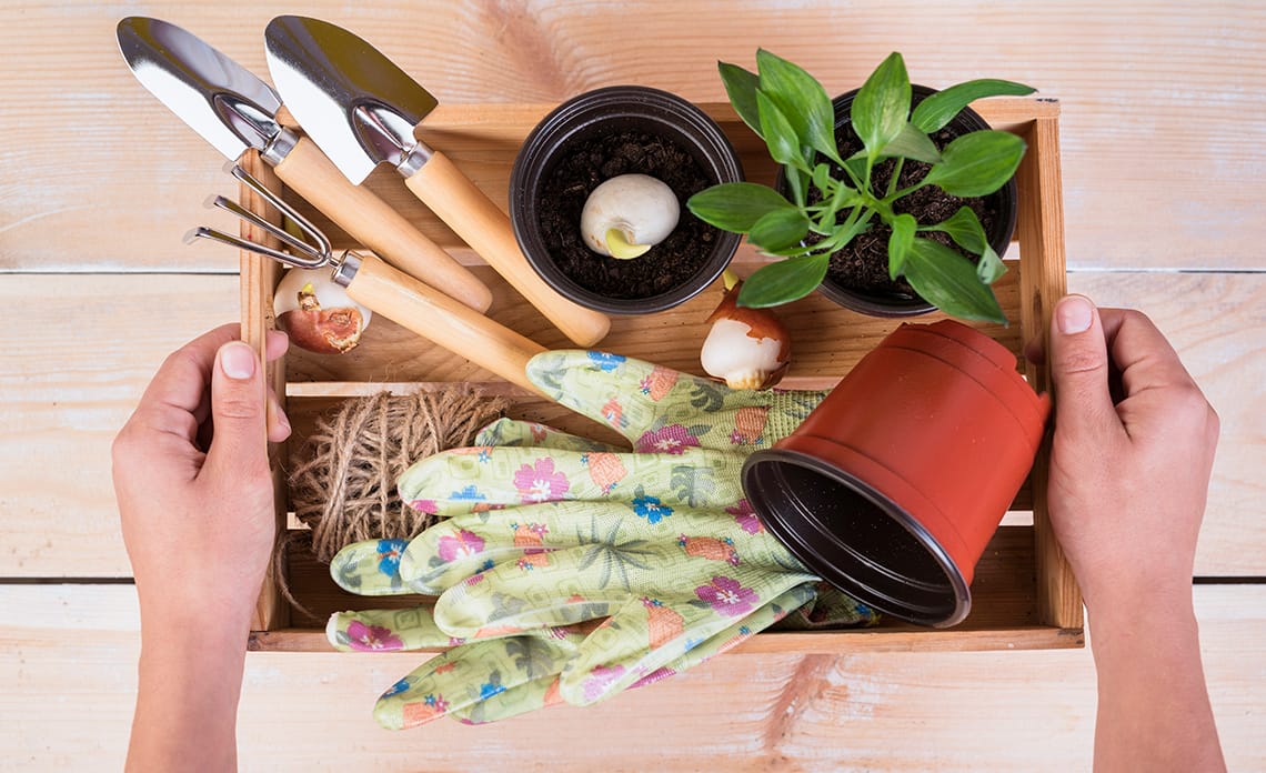 10 Herramientas de Jardinería Básica para el Cuidado de tus Plantas en Casa