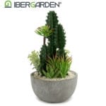 CENTRO CACTUS REDONDO 15X15X29 - Imagen 3