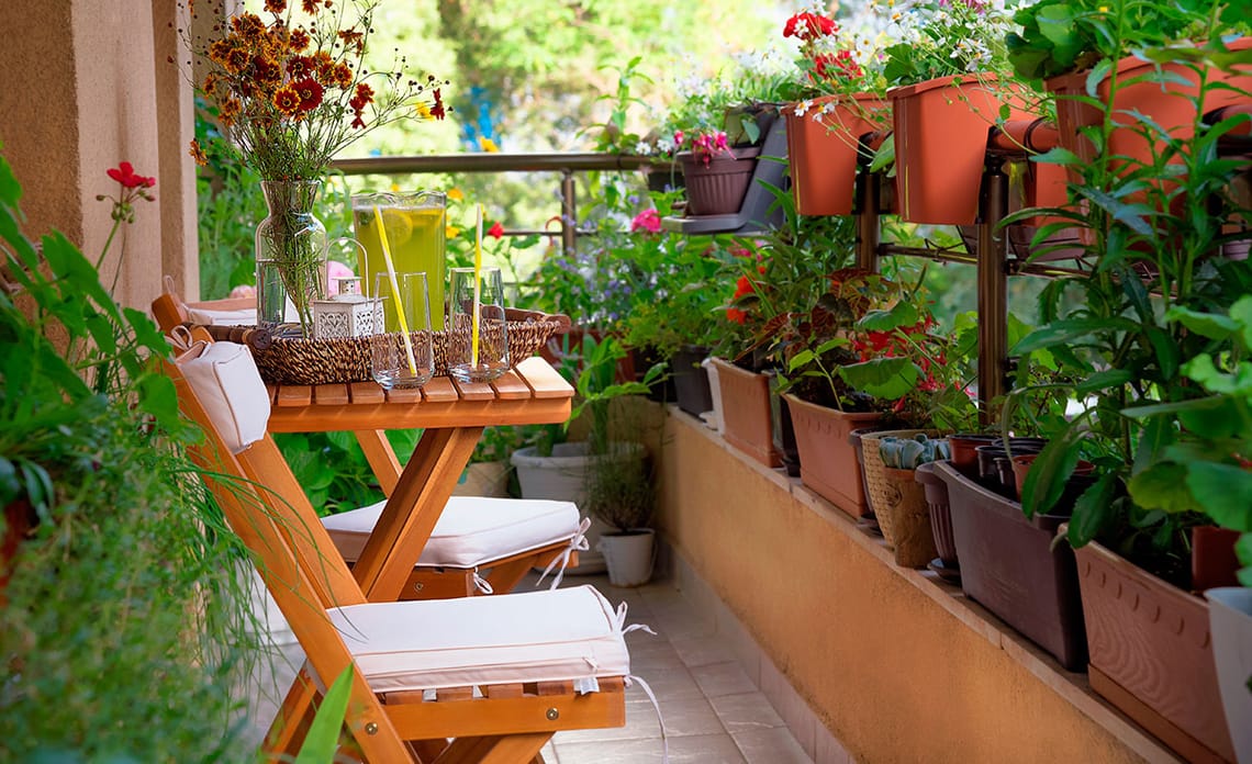 blog plantas balcones