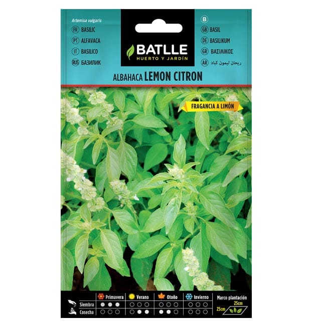 ALBAHACA LEMON CITRON