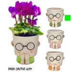 MACETA CARA VERDE CACTUS 6 CM
