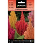 CELOSIA PLUMOSA VARIADA