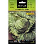 COL BACALAN GRANDE