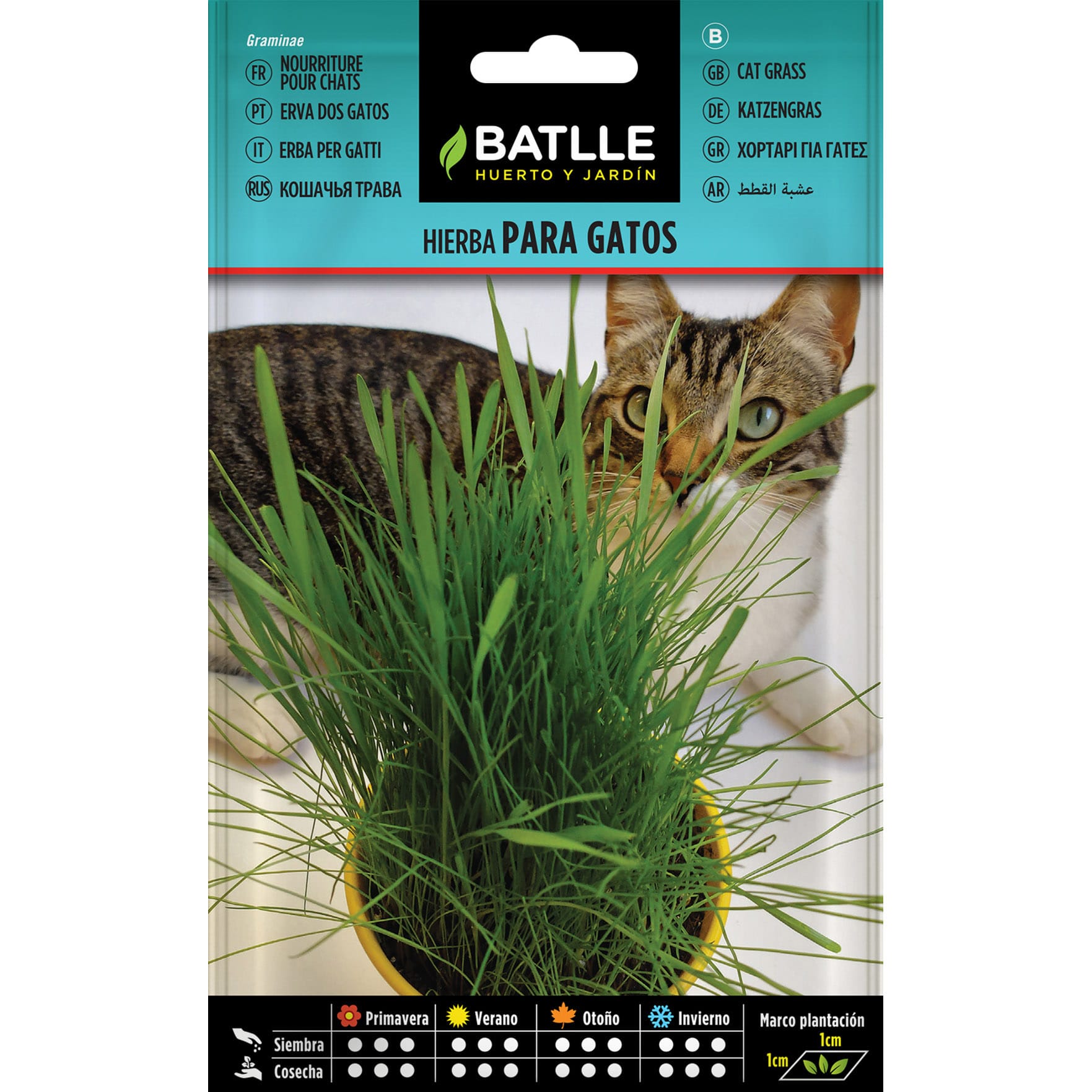 Hierba Para Gatos HIERBA PARA GATOS GRAMINAE - Imagen 1