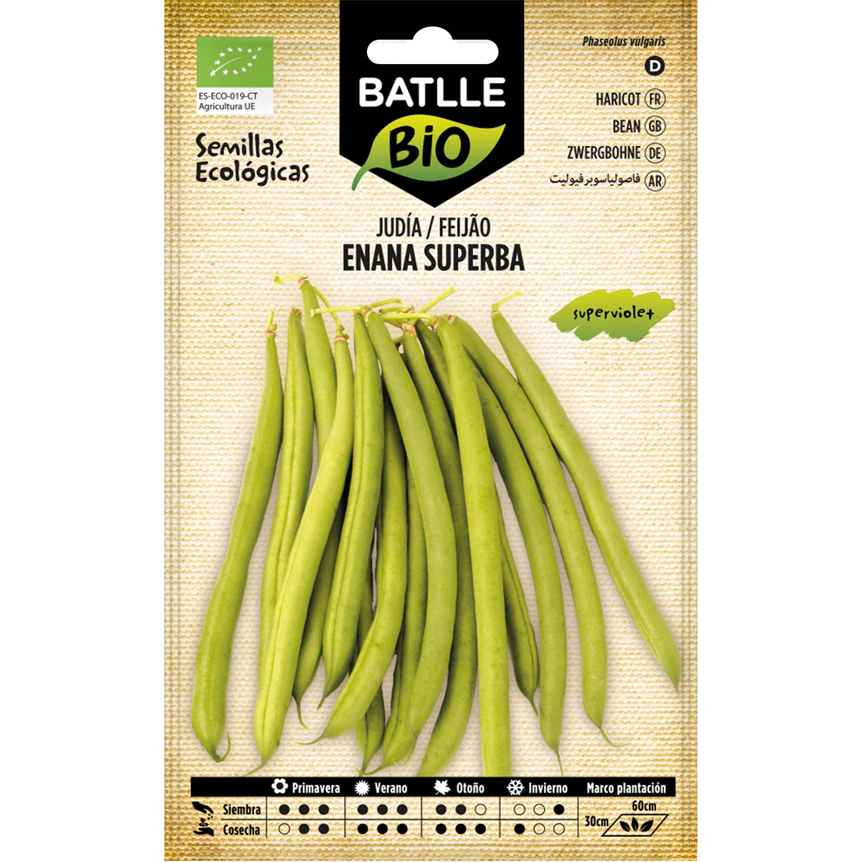 Judía Enana Superba Superviolet JUDIA SUPERBA SUPERVIOLET 250 GR - Imagen 1