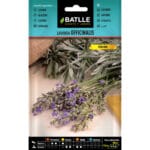 LAVANDA OFFICINALIS