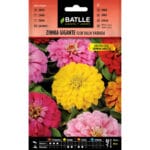 ZINNIA GIGANTE FLOR DALIA VDA