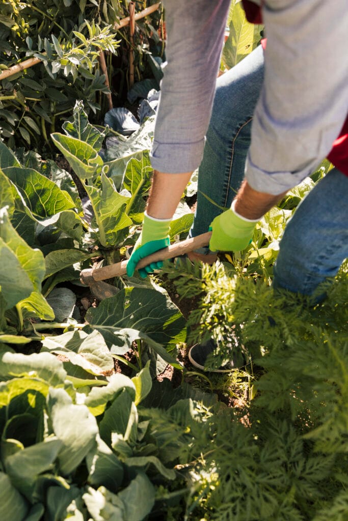 un jardinero de sexo masculino que cultiva las plantas en el jardin
