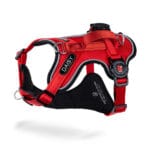 ARNES ID. ROJO T-L