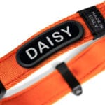 COLLAR MEMOPET ID NARANJA T-L - Imagen 3