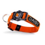COLLAR MEMOPET ID NARANJA T-M