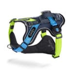 ARNES ID NEGRO VERDE Y AZUL T-XL