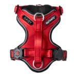 ARNES ID. ROJO T-L - Imagen 6