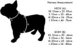PETRAL NARANJ 20 MM CUELLO 37-61 - Imagen 2
