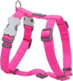 PETRAL FUXIA 15 MM CUELLO 30-48 - Imagen 2