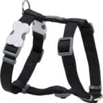 PETRAL NEGRO 20 MM CUELLO 37-61