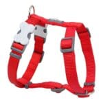 PETRAL ROJO 20 MM CUELLO 37-61