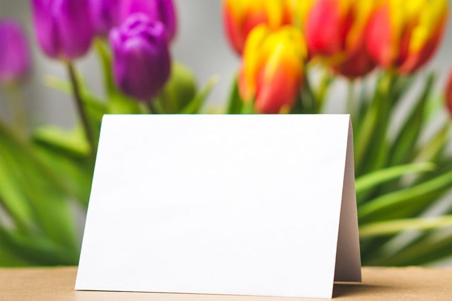 plant-flower-petal-tulip-decoration-spring-1209101-pxhere.com